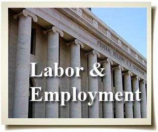 Contact us for more information on our expertise with labor and employment